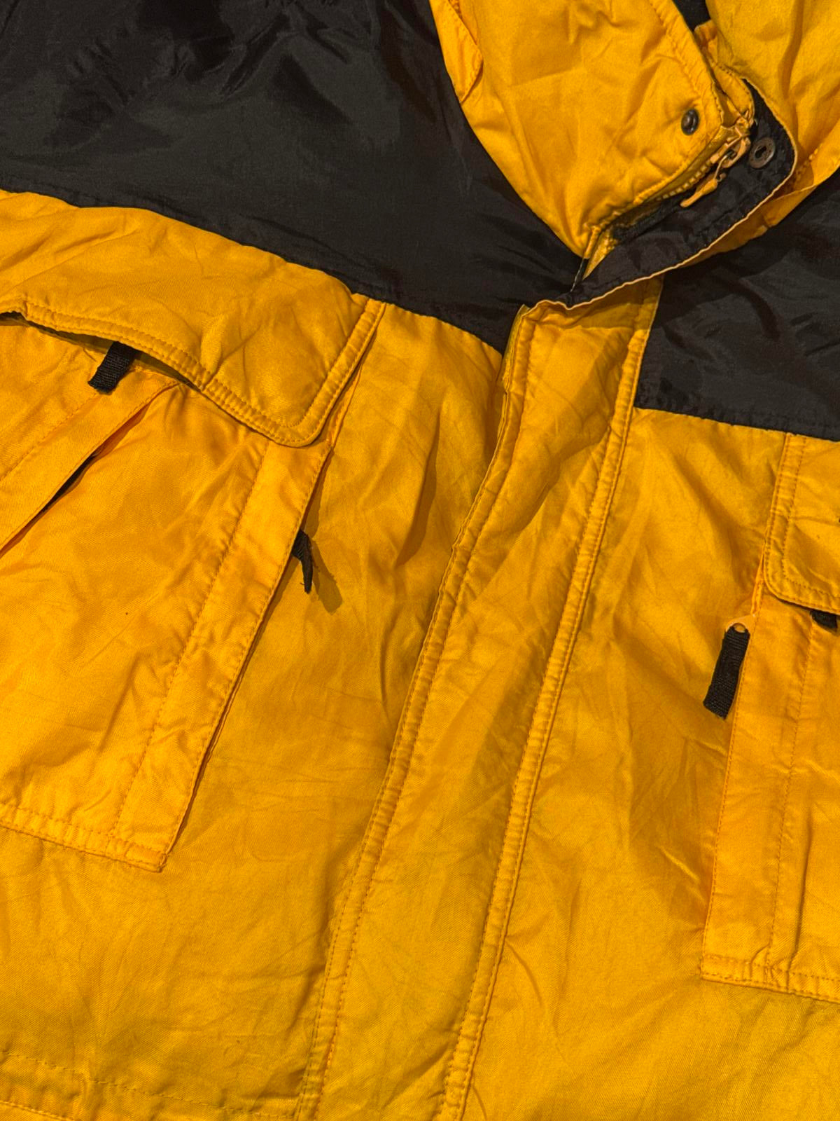 Starter yellow and black coat