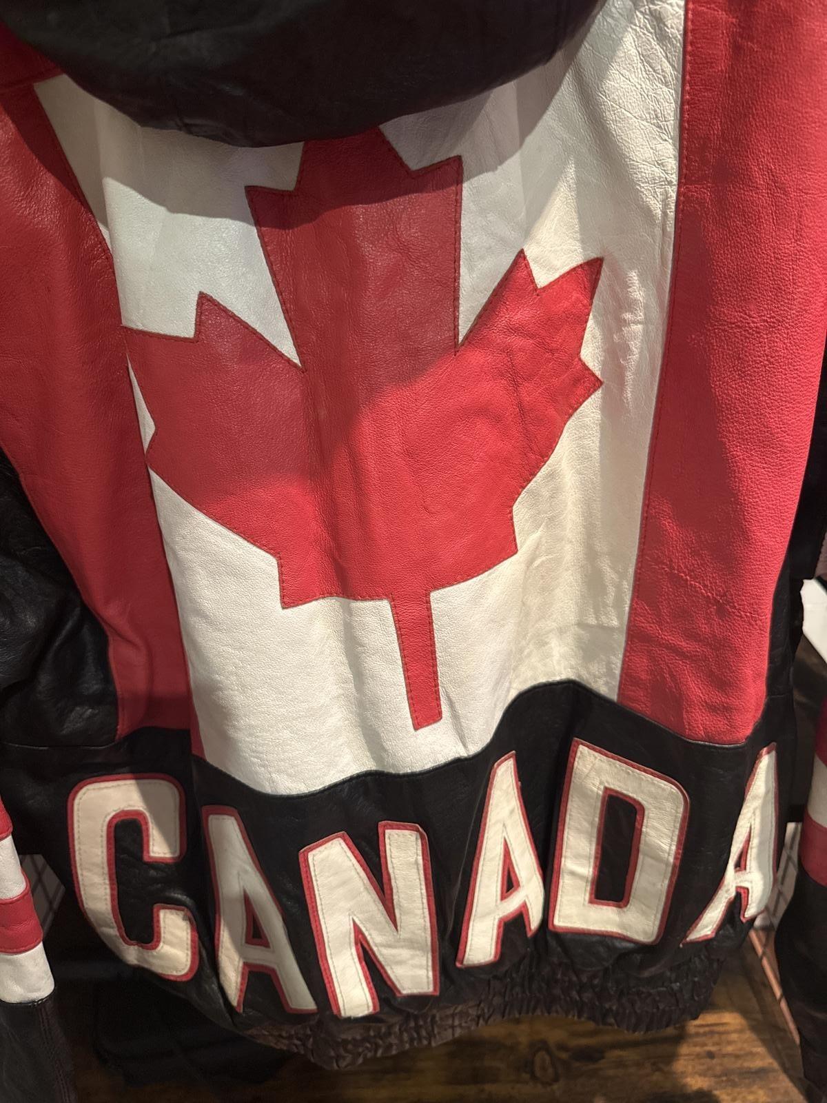 Cosa Nova Canada leather & suede coat - detail image 3