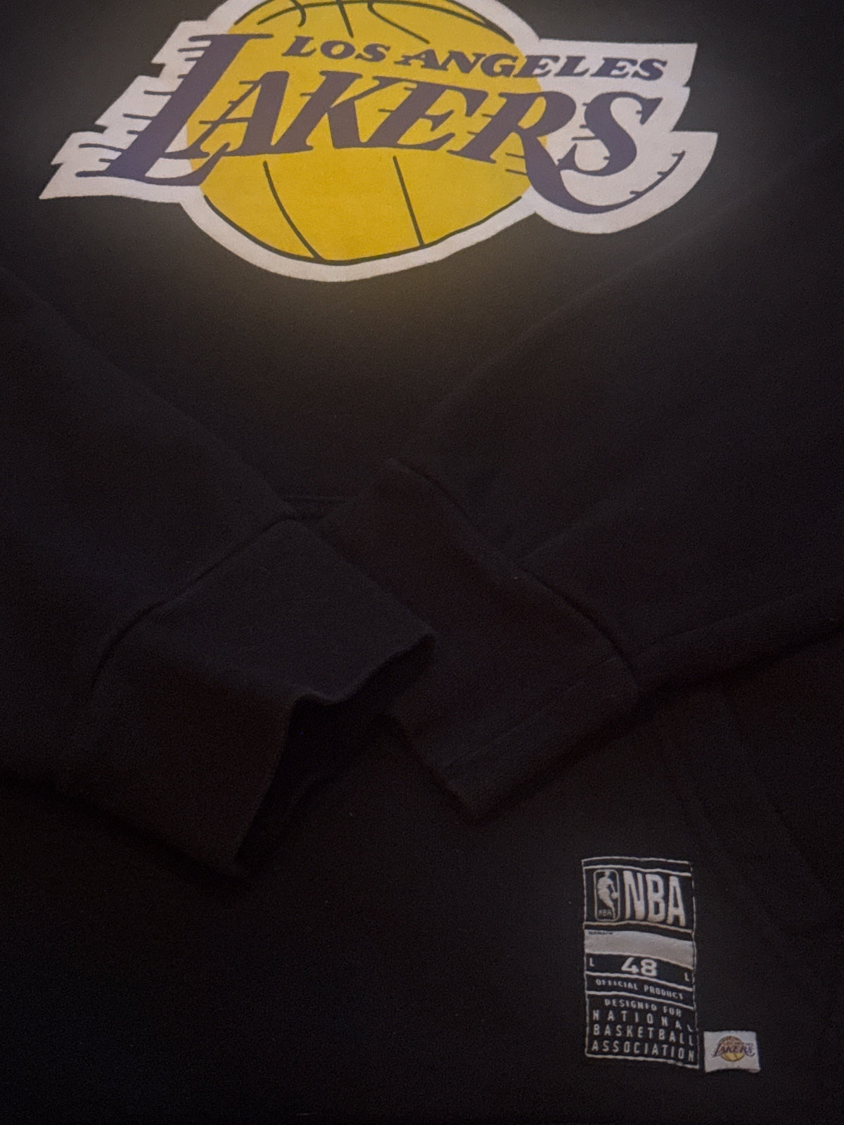 Los Angeles Lakers Black Hoodie with LeBron James 6 Print - detail image 4