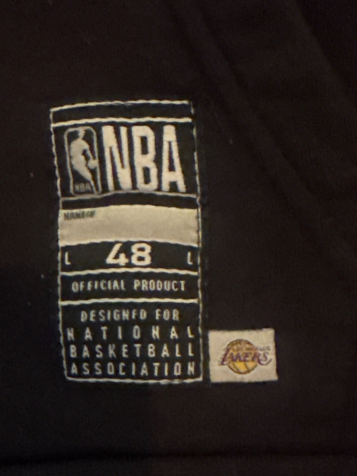 Los Angeles Lakers Black Hoodie with LeBron James 6 Print - detail image 8