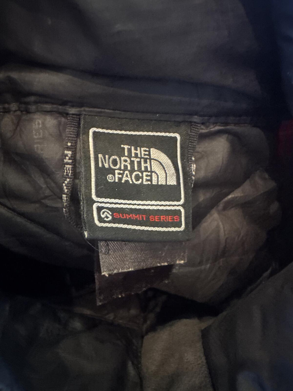 The North Face Summit Series 800 Fill Down Puffer Jacket