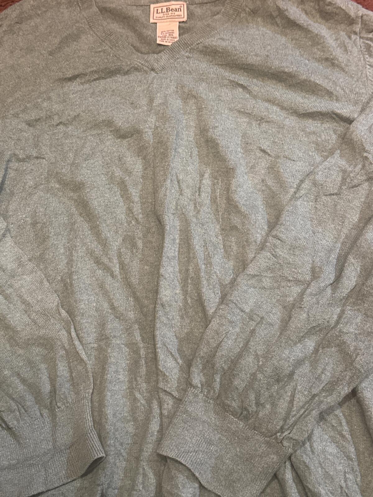 Men's V-Neck Cotton Cashmere Sweater Regular M