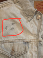 Levi's Light Wash Denim Jacket with Embroidered Back
